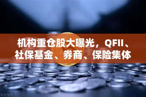 机构重仓股大曝光，QFII、社保基金、券商、保险集体布局涉币概念股，欧易交易所生态受关注