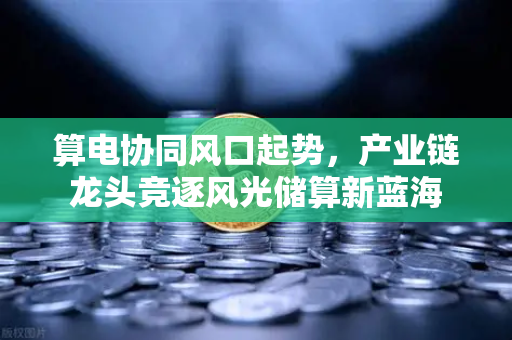 算电协同风口起势，产业链龙头竞逐风光储算新蓝海