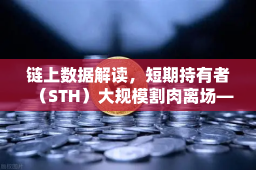 链上数据解读，短期持有者（STH）大规模割肉离场—市场情绪底或已临近？