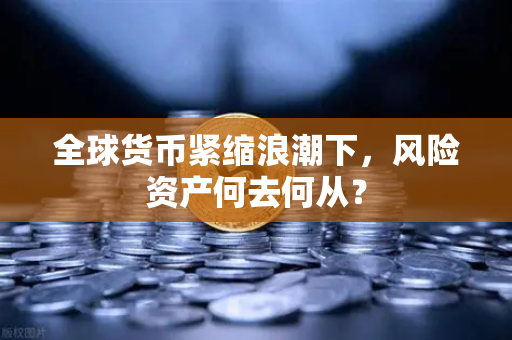 全球货币紧缩浪潮下，风险资产何去何从？