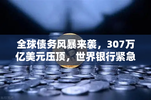 全球债务风暴来袭，307万亿美元压顶，世界银行紧急预警！你的财富如何避险？