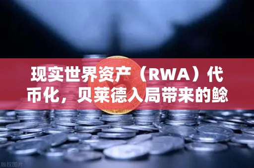 现实世界资产（RWA）代币化，贝莱德入局带来的鲶鱼效应