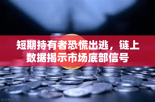 短期持有者恐慌出逃，链上数据揭示市场底部信号