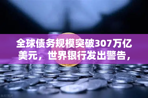 全球债务规模突破307万亿美元，世界银行发出警告，经济风暴即将来临？