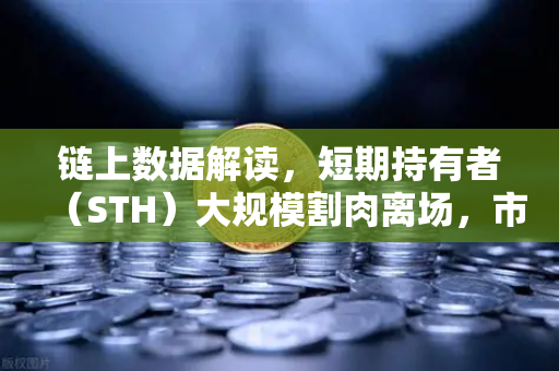 链上数据解读，短期持有者（STH）大规模割肉离场，市场底在何方？