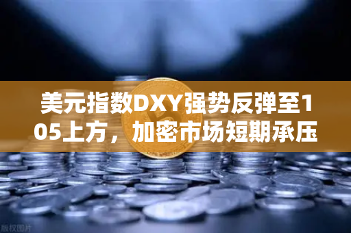 美元指数DXY强势反弹至105上方，加密市场短期承压，欧易交易所官网解读后市走向