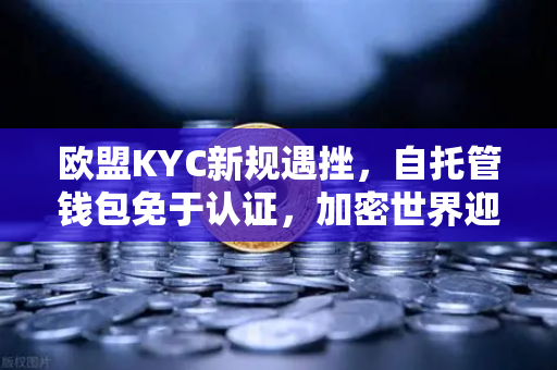欧盟KYC新规遇挫，自托管钱包免于认证，加密世界迎来重大胜利