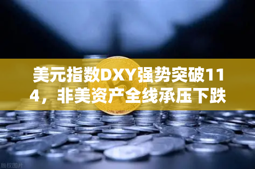 美元指数DXY强势突破114，非美资产全线承压下跌—全球金融市场面临新一轮洗牌