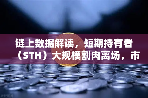 链上数据解读，短期持有者（STH）大规模割肉离场，市场底部信号是否已现？