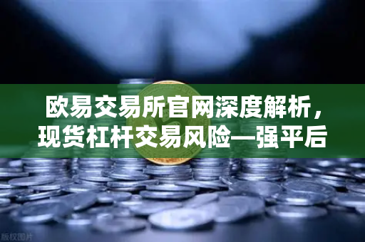 欧易交易所官网深度解析，现货杠杆交易风险—强平后你的资产会发生什么？-第1张图片-欧易交易所