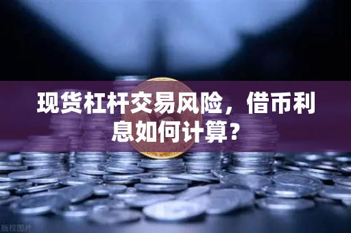 现货杠杆交易风险，借币利息如何计算？