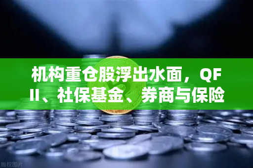 机构重仓股浮出水面，QFII、社保基金、券商与保险联手布局涉币概念股