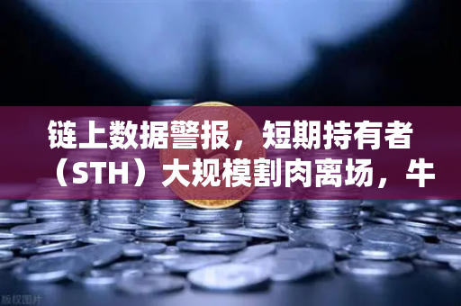 链上数据警报，短期持有者（STH）大规模割肉离场，牛市终结信号还是洗盘陷阱？