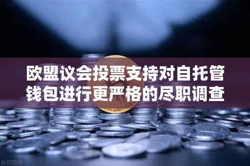 欧盟议会投票支持对自托管钱包进行更严格的尽职调查，欧易交易所官网深度解读