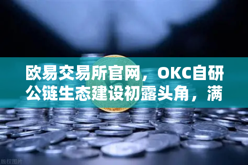 欧易交易所官网，OKC自研公链生态建设初露头角，满足用户多种加密数字资产业务需求