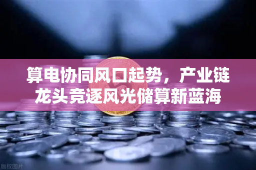 算电协同风口起势，产业链龙头竞逐风光储算新蓝海