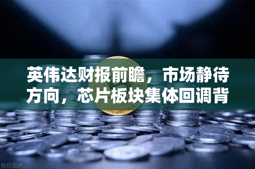 英伟达财报前瞻，市场静待方向，芯片板块集体回调背后的真相