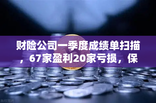 财险公司一季度成绩单扫描，67家盈利20家亏损，保险资金入市偏好深度解读