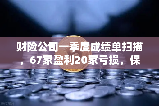 财险公司一季度成绩单扫描，67家盈利20家亏损，保险资金入市偏好解析