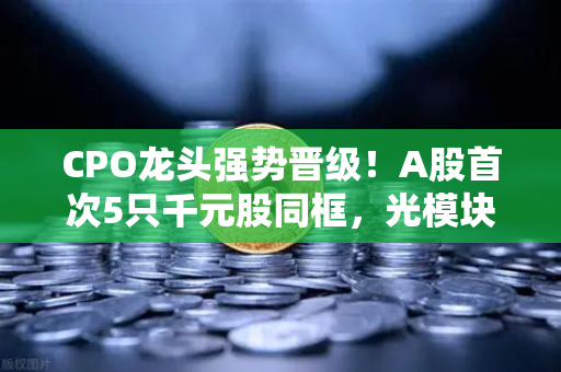 CPO龙头强势晋级！A股首次5只千元股同框，光模块与区块链数据传输迎来历史性时刻