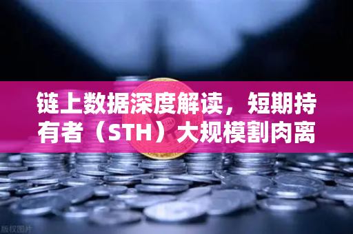 链上数据深度解读，短期持有者（STH）大规模割肉离场，市场底部的信号已经出现？