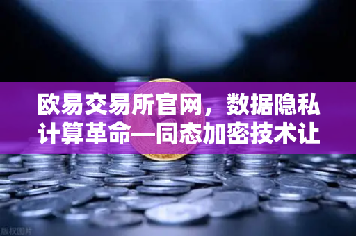 欧易交易所官网，数据隐私计算革命—同态加密技术让数据可用不可见