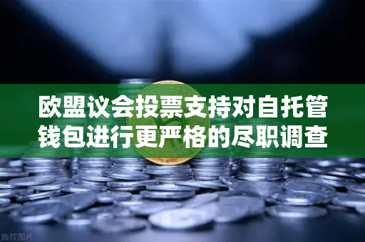 欧盟议会投票支持对自托管钱包进行更严格的尽职调查,对加密行业的影响与应对策略-第1张图片-欧易交易所 欧盟议会投票支持对自托管钱包进行更严格的尽职调查,对加密行业的影响与应对策略-第1张图片-欧易交易所