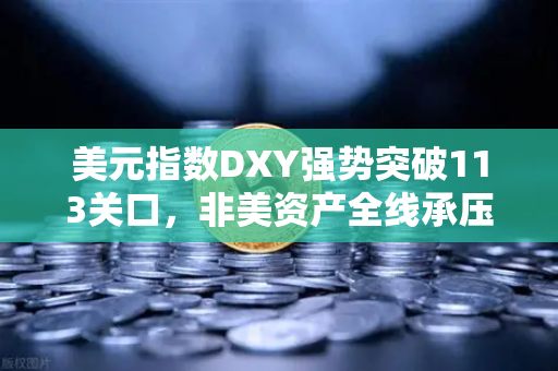 美元指数DXY强势突破113关口，非美资产全线承压，全球市场动荡下的避险与应对策略
