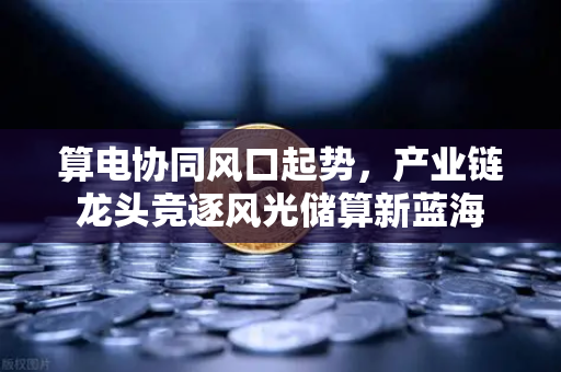算电协同风口起势，产业链龙头竞逐风光储算新蓝海