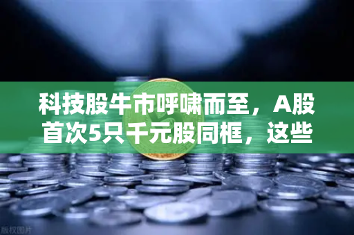 科技股牛市呼啸而至，A股首次5只千元股同框，这些板块涌现最多