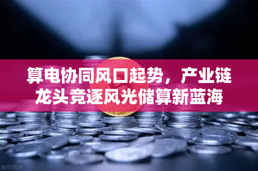 算电协同风口起势，产业链龙头竞逐风光储算新蓝海