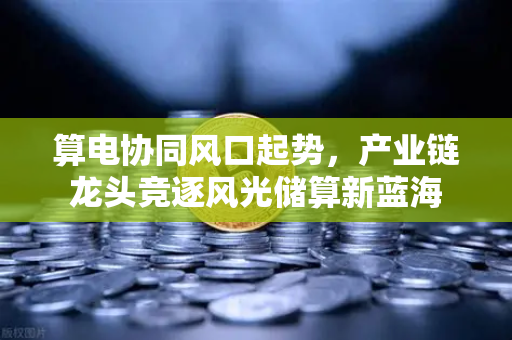 算电协同风口起势，产业链龙头竞逐风光储算新蓝海