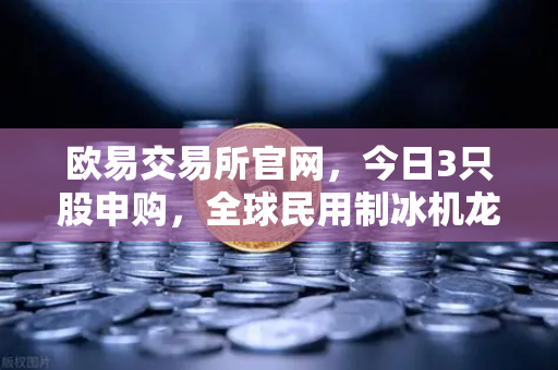 欧易交易所官网，今日3只股申购，全球民用制冰机龙头登场，新股炒作逻辑全解析