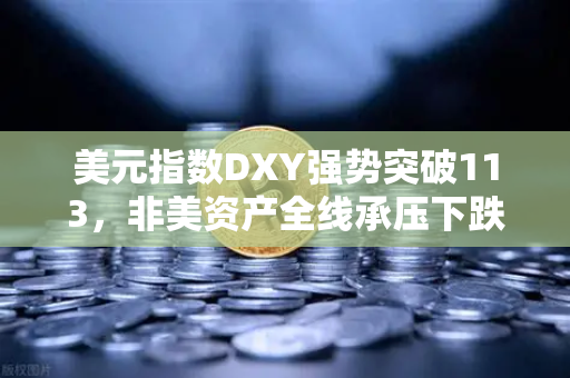 美元指数DXY强势突破113，非美资产全线承压下跌，全球金融市场震荡下的避险与机遇