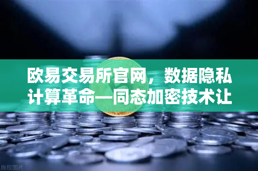 欧易交易所官网，数据隐私计算革命—同态加密技术让数据可用不可见
