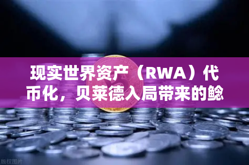 现实世界资产(RWA)代币化,贝莱德入局带来的鲶鱼效应-第1张图片-欧易交易所 现实世界资产(RWA)代币化,贝莱德入局带来的鲶鱼效应-第1张图片-欧易交易所