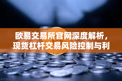 欧易交易所官网深度解析，现货杠杆交易风险控制与利息计算全攻略