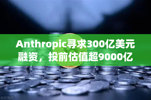 Anthropic寻求300亿美元融资，投前估值超9000亿，AI泡沫还是新起点？