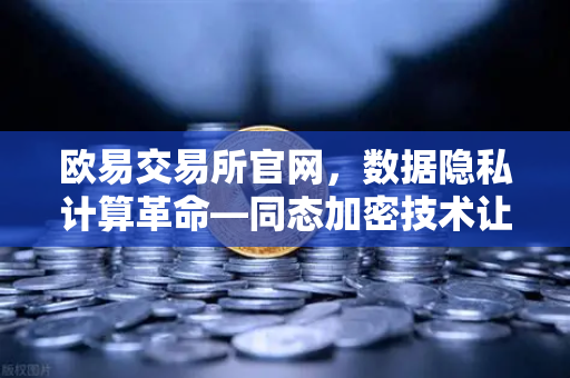 欧易交易所官网，数据隐私计算革命—同态加密技术让数据可用不可见