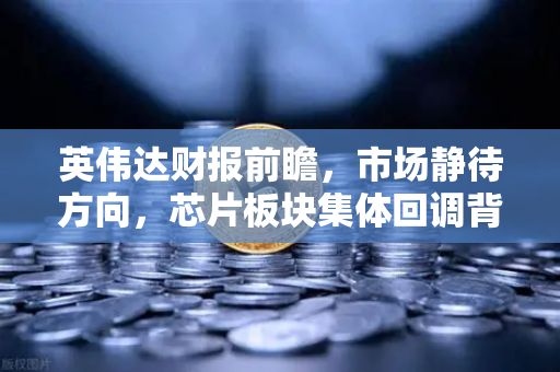 英伟达财报前瞻，市场静待方向，芯片板块集体回调背后的真相