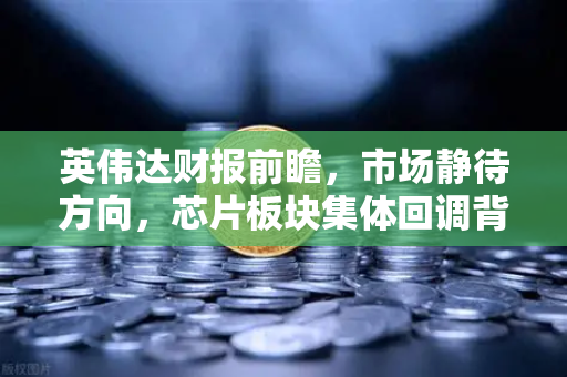 英伟达财报前瞻，市场静待方向，芯片板块集体回调背后的真相