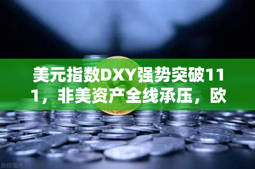 美元指数DXY强势突破111，非美资产全线承压，欧易交易所深度解读市场变局-第1张图片-欧易交易所
