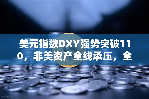 美元指数DXY强势突破110，非美资产全线承压，全球金融市场震荡加剧