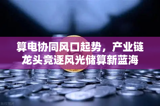算电协同风口起势，产业链龙头竞逐风光储算新蓝海