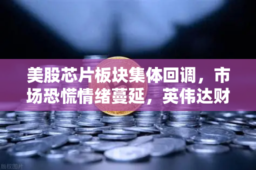 美股芯片板块集体回调，市场恐慌情绪蔓延，英伟达财报能否成为定海神针？
