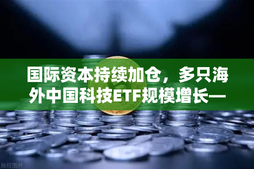 国际资本持续加仓，多只海外中国科技ETF规模增长—欧易交易所官网见证数字资产新趋势