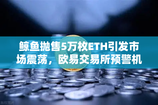 鲸鱼抛售5万枚ETH引发市场震荡，欧易交易所预警机制详解