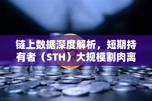 链上数据深度解析，短期持有者（STH）大规模割肉离场，市场底部信号是否已现？