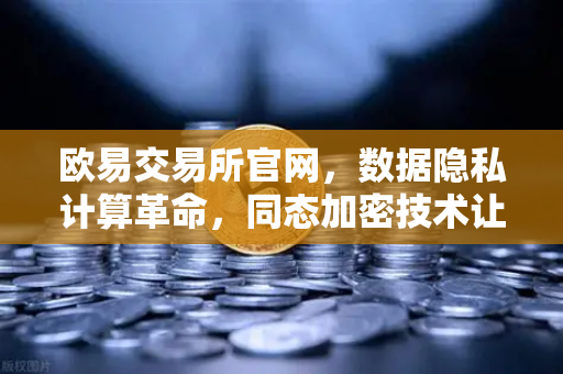 欧易交易所官网，数据隐私计算革命，同态加密技术让数据可用不可见