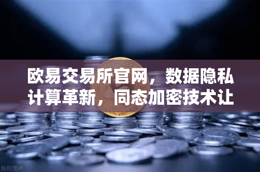 欧易交易所官网，数据隐私计算革新，同态加密技术让数据可用不可见